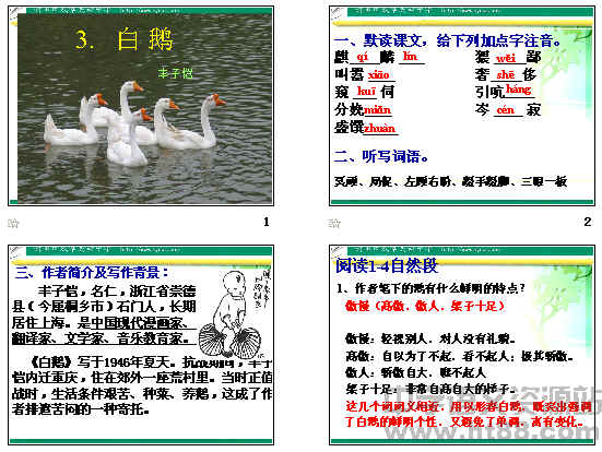 白鵝最新講道,白鵝最新講道，高科技產(chǎn)品介紹