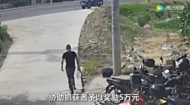 眉山市最新殺人事件，深度分析與觀點(diǎn)闡述