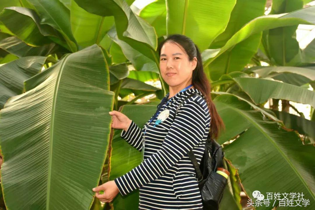 帶梅字優(yōu)雅網(wǎng)名最新，自然美景探索之旅