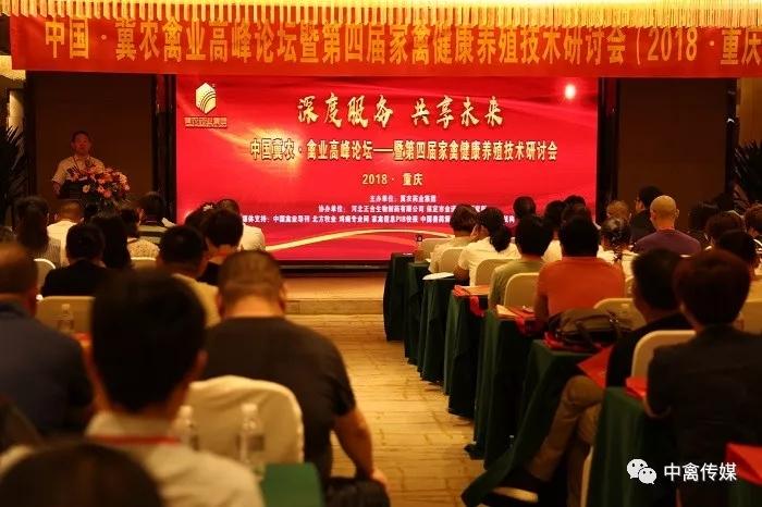 雞病專業(yè)網(wǎng)最新論壇，心靈與自然的完美交融