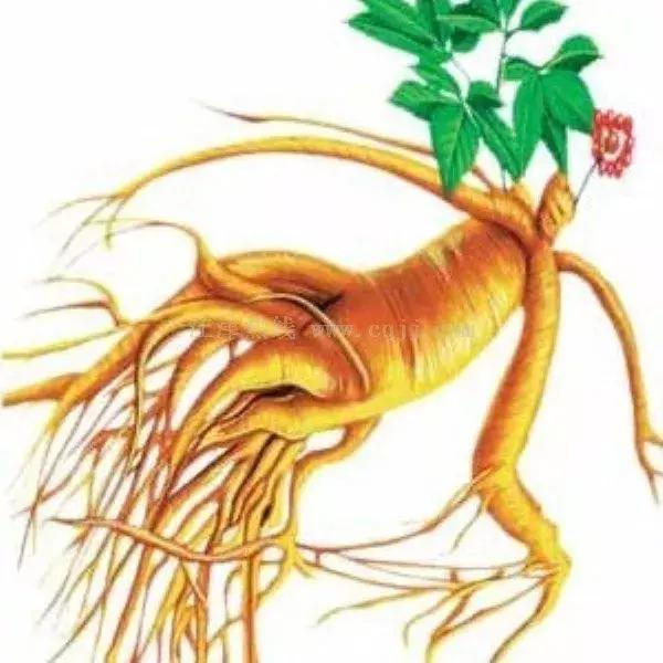 最新井陘礦區(qū)房源出售，家的溫馨與友情交織的居所